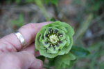 DSC07523.JPG