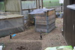 DSC07522.JPG