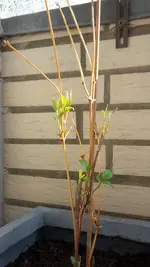20190323_124129.webp