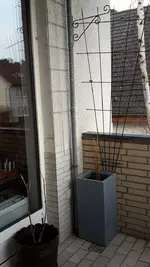 20190323_175159.webp