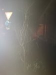 IMG_20190323_211334.jpg