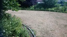 DSC_0576.webp DSC_0576.webp