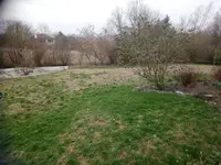 DSC_1381.webp DSC_1381.webp