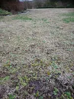 DSC_1372.webp DSC_1372.webp