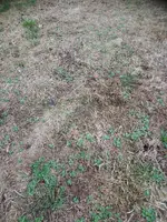 DSC_1373.webp DSC_1373.webp