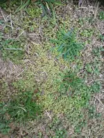 DSC_1382.webp DSC_1382.webp