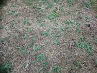 DSC_1383.webp DSC_1383.webp