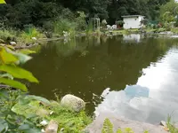 Teich1.webp