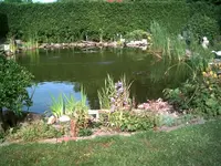 Teich.webp