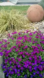 IMG_20190318_102022399.webp