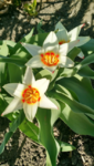 IMG_20190322_130532742_HDR.png