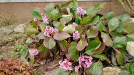 IMG_20190318_101629919.webp
