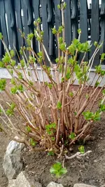 IMG_20190318_101614827.webp