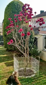 IMG_20190324_143249459_HDR.webp