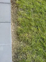 IMG_20190324_154514.webp