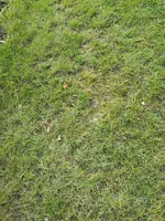 IMG_20190324_154523.webp