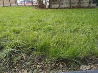 IMG_20190324_154531.webp