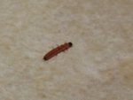 IMG_20190324_192202.jpg