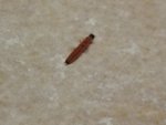 IMG_20190324_192157.jpg