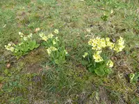 P1120164.webp