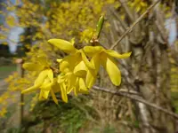 P1120167.webp