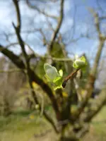 P1120168.webp
