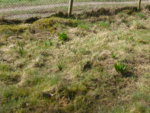 P1120169.JPG