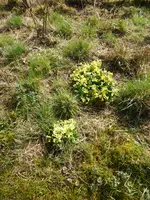P1120171.webp
