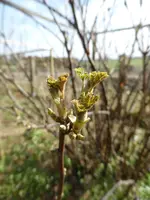 P1120172.webp