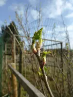 P1120173.webp