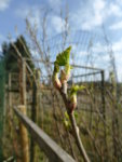 P1120173.JPG