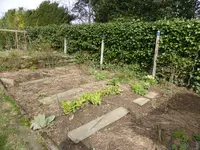 P1120179.webp