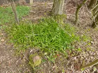 P1120188.webp