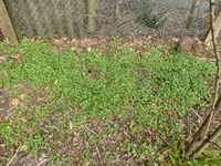 P1120189.webp