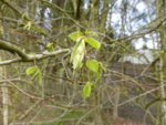 P1120190.JPG