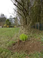 P1120197.webp
