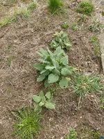P1120198.webp