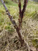 P1120201.webp