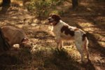 Estrella_watching_800.JPG