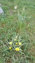 IMG_20180419_163518.webp