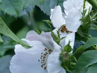 image001.webp
