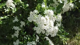 IMG_20180523_170845.webp