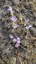 IMG_20180325_142822.webp