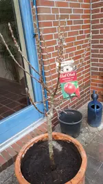 20190326_172659.webp