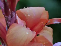 image001.webp