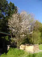 P1000294.JPG