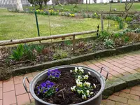DSC00150.webp