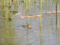 DSCN8307.webp