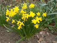 DSCN0049.webp