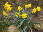 DSCN0050.JPG